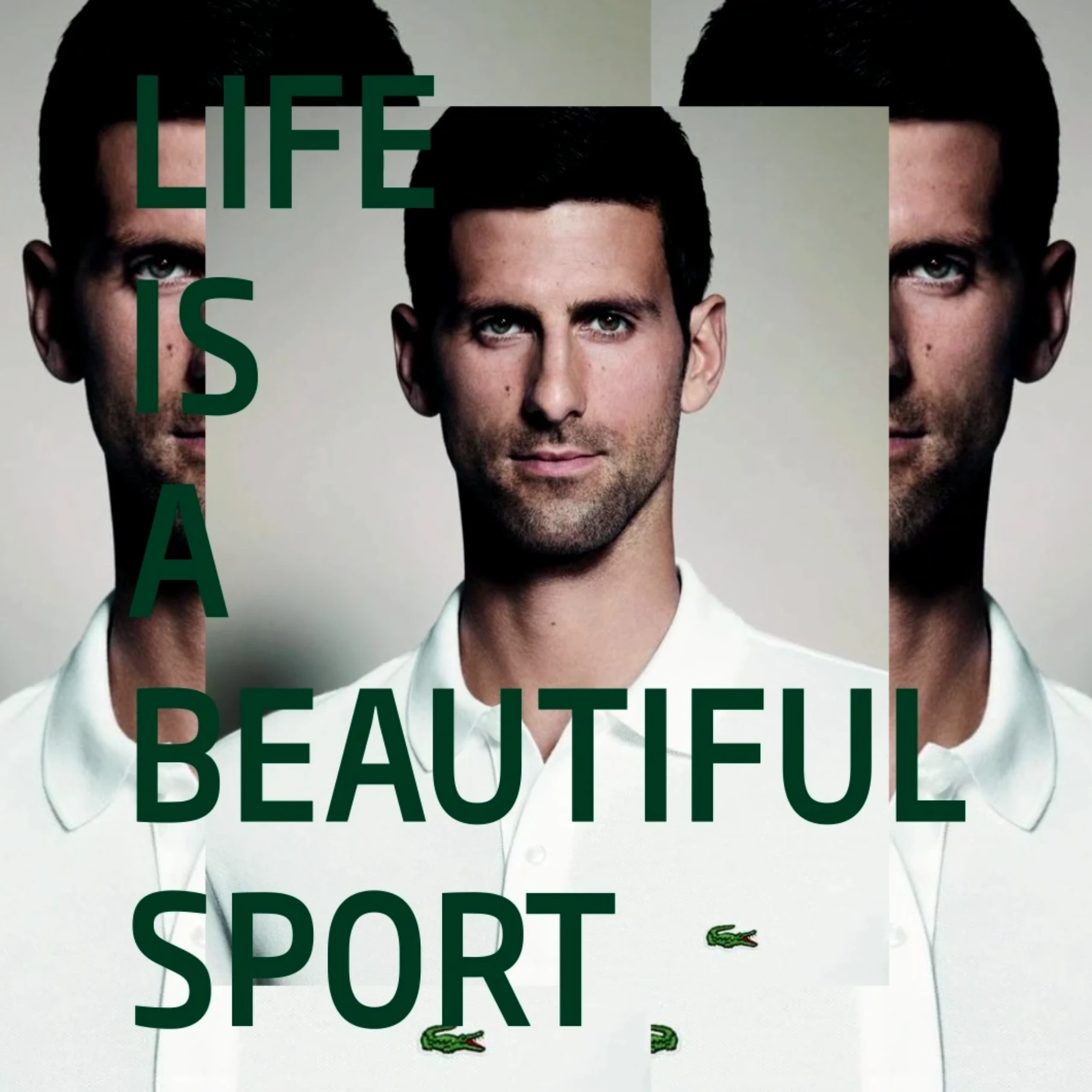 Novak Djokovic et Roland Garros