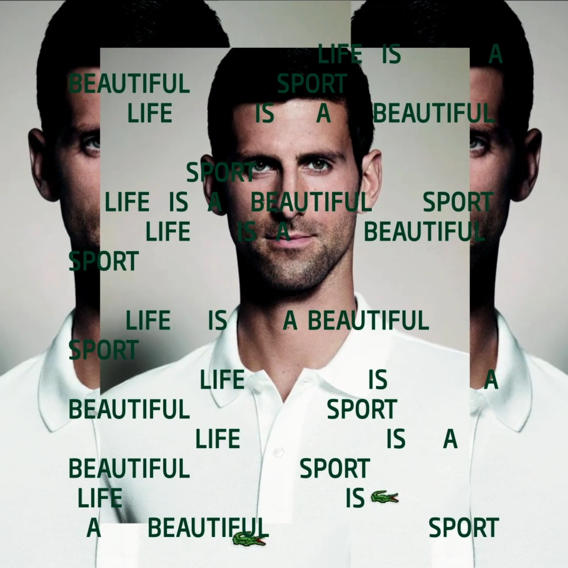Novak Djokovic et Roland Garros
